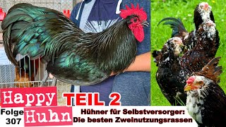 Teil 2 Hühner für Selbstversorger Gute Zweinutzungsrassen für Eier  Fleisch HAPPY HUHN E306 [upl. by Ysiad]