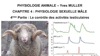 Chapitre 44 Le contrôle des activités testiculaires [upl. by Charmian]