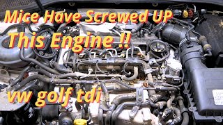 Volkswagen Golf TDI Goes in Limp Mode Engine Loses Power Code P2563 amp P00AF  Diagnosis amp Repair [upl. by Whitman]