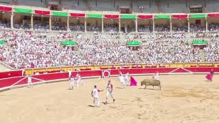 💥 SAN FERMÍN 🏅CONCURSO DE RECORTADORES CON TOROS EN PAMPLONA [upl. by Noyr]