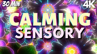 Autism Calming Music Neon Soothing Falling Flowers Meltdown Remedy [upl. by Frulla]