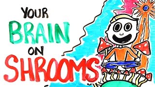 Your Brain On Shrooms [upl. by Nnylhtak]