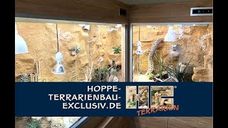 Terrarium für ägyptische Landschildkröten Testudo kleinmanni [upl. by Nomzaj]