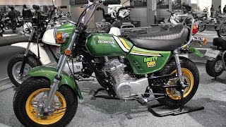 1973 HONDA NAUTY DAX CY50 （昭和48年）ノーティーダックス [upl. by Enaols]