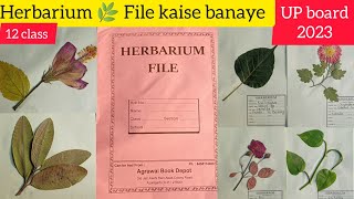 HERBARIUM 🌿 SHEET  UP Board 2023 Herbarium file kaise banaye artartist1m [upl. by Elliven]