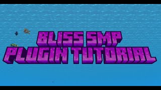 Bliss SMP NEW plugin Tutorial [upl. by Inanak801]