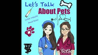 Lets Talk About Pets  Episode 3 Not Down with IVDD Mobility Part 2 [upl. by Hazem201]