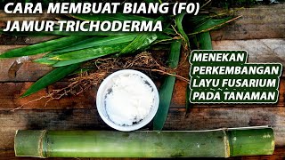 CARA MEMBUAT JAMUR TRICODERMA  How to make trichoderma mushrooms [upl. by Whelan]