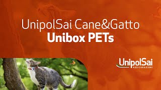 UnipolSai CneampGatto  Unibox PETs [upl. by Theodosia]