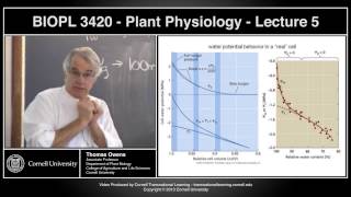 BIOPL3420  Plant Physiology  Lecture 5 [upl. by Lacefield906]