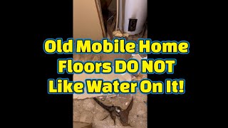 Water Heater LeakBrittle Subfloor Easy fix [upl. by Alleroif435]