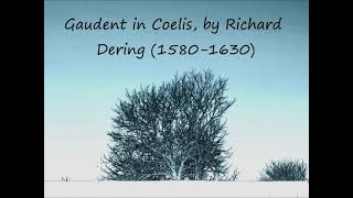 Gaudent in Coelis Richard Dering [upl. by Merralee]