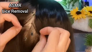 ASMR TINGIY HAIR SOUNDS  Lice Removal You will feel sleepy  No Talking 😴💤🥱 [upl. by Charlot205]