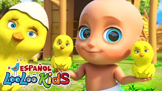 🐤🐥Los Pollitos Dicen Pio Pio  S1EP08 Las Mejores Canciones para Niños  LooLoo Kids Español [upl. by Adierf]