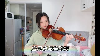 白月光与朱砂痣｜都是得不到的遗憾么 [upl. by Yenwat262]