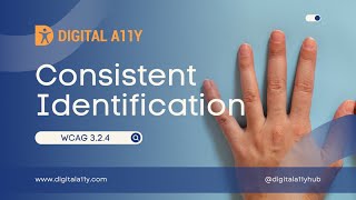 Understanding WCAG SC 324 Consistent Identification Level AA [upl. by Hanafee]