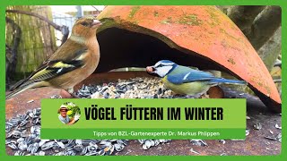 Vögel füttern im Winter [upl. by Etnohs828]