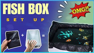 💥🤯how to make fish box setup 😱🤯telugu trending aquarium aquarium fishhobbyist viralnewsetup [upl. by Floro]