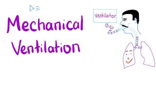 Mechanical Ventilation  Most COMPREHENSIVE Explanation 🤫 [upl. by Misa]