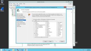 WSUS Configuration [upl. by Aicelav]