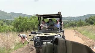 Pilanesberg National park south Africa [upl. by Hopkins]