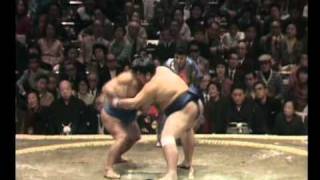 Chiyonofuji vs Kotokaze  Hatsu 1981 千代の富士 対 琴風 [upl. by Yelrebmyk]