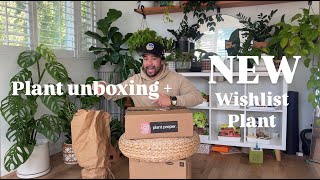 Unbox some plants with me  new WISHLIST plant [upl. by Ujawernalo17]