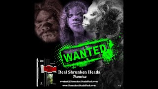 Shrunken Heads Book  McGinty  Oddities amp Curiosities [upl. by Yretsym]