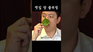 초전문가의 깻잎 쌈 강의 홍석천 이원일 김호윤 [upl. by Nnybor947]