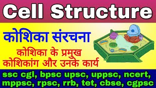 कोशिका संरचना  Koshika ki sanrachna  cell Structure and Function  Plants Cell Cell Organelles [upl. by Darcey431]