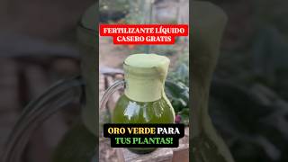 Oro Verde para tus Plantas 🦠 Fertilizante Casero GRATIS en 1 Min [upl. by Huai]