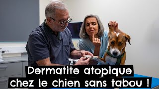 Dermatite atopique chez le chien sans tabou  🐶 allergies [upl. by Nalyk849]