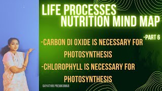 Life processesactivity lifeprocesses class10 biology cbse [upl. by Annayk]