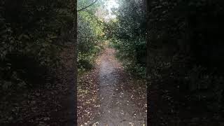 20 sec little walk part 5 [upl. by Bigford743]