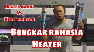 Bongkar Rahasia Heater  Heater Mahal vs Heater Murah  Cara Tepat Pilih Heater untuk Aquarium [upl. by Eerehc]