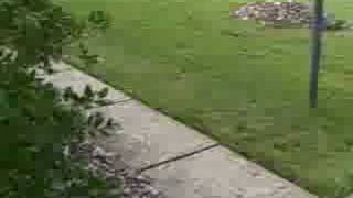 How To Aerate and Seed Lawn Charlotte [upl. by Marni]