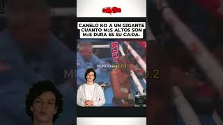 Cuanto más Alto más Dura es su Caída Canelo Noquea a un Gigante boxeo boxing box canelo [upl. by Leihcim486]