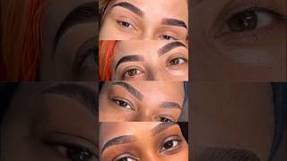 The BEST Brow Tint Ever brows browtint browtinting eyebrows hollywood losangeles [upl. by Lynna]