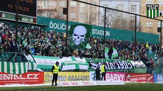 Bohemians Praha 1905  FK Teplice  support [upl. by Neslund]