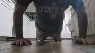 FLOPPING GROPER PUSHUP CHALLENGEDAY 62 ‎ NickCipher CryptoFace MarketCipher1 PROOFOFWORK [upl. by Kirbie886]