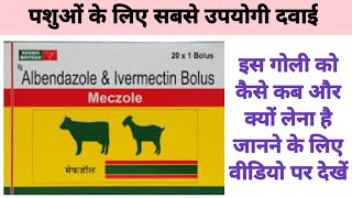 albendazole amp ivermectin bolus tablets for animals  pashuo ke pet ke kide marne ki davai animals [upl. by Mirella]