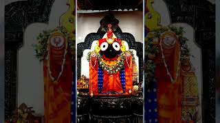 Dt  281124  Bamana khetra Urali  Jay Jagannath  jagannath mahaprabhu kalia urali [upl. by Swanhildas113]