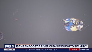 Anacostia River opens to swimmers [upl. by Gayl]