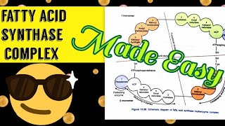 Fatty Acid Synthase Complex  Made easy 😎🔥 [upl. by Ahseim]