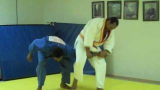 Miyama Ryu 1st Brown to Black Belt Trailer [upl. by Siderf356]