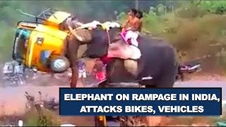 FULL VIDEO Angry Elephant on rampage in Kerala  INDIA Palakkad [upl. by Lizzy378]