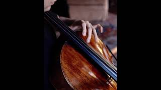 Haydn Cello Concerto No1 in C Major  the1000dayjourney [upl. by Britte]