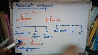 ADRENOCEPTOR BLOCKERS made easy part 1 [upl. by Eilegna]