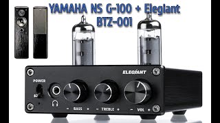 Колонки Yamaha NS G100  Усилитель ELEGIANT BTZ 001 [upl. by Ahsitul117]