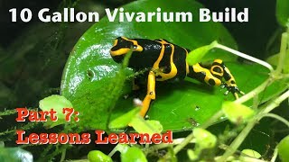 10 Gallon Vivarium Build Part 7 Lessons Learned [upl. by Myra]